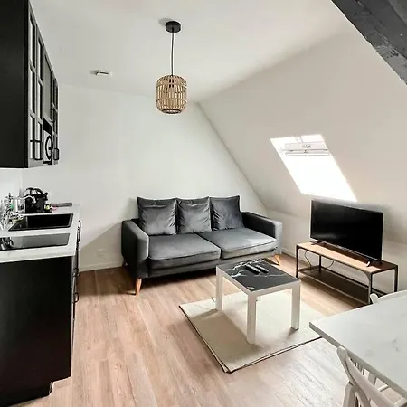 Copenhague- Cathedrale, Maison Du Xvi Siecle Appartement Reims